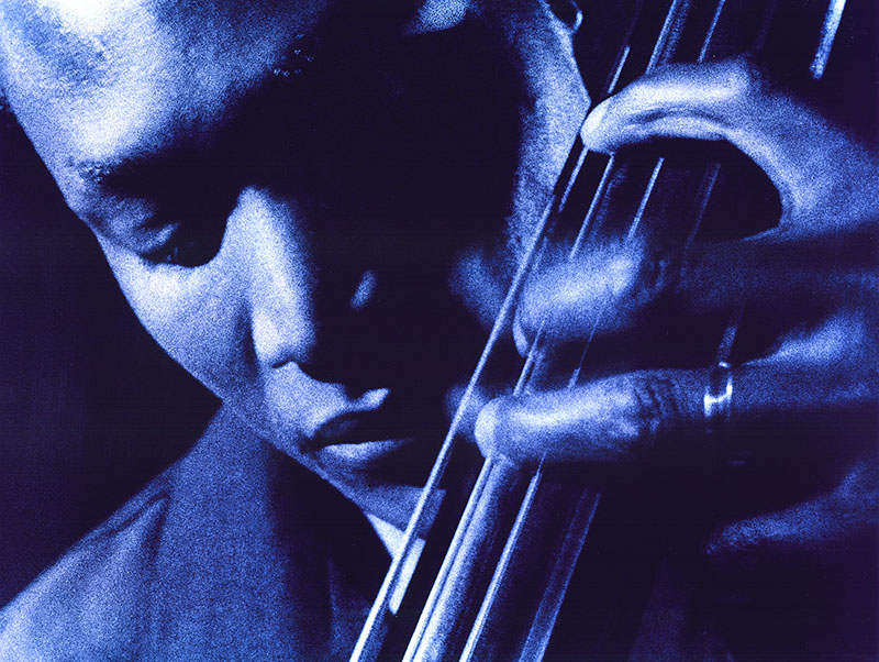 The bass player